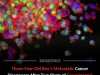 Toddler With Metastatic Liver Cancer Declared Cancer-Free After Experimental Cell Therapy