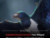Tiny Four Winged Dinosaur Discovery Rewrites The Evolution Of Flight