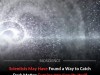 Dark Matter May Decay Into Gravitons, Turning Cosmic Filaments Into Gamma‑Ray Beacons