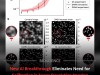 New AI Breakthrough Eliminates Need for Calibration in Super-Resolution Imaging