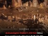 Neanderthals Built 176,000-Year-Old Stone Rings Deep Inside French Cave
