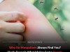 Skin Bacteria and Body Odor Explain Why Some People Attract More Mosquitoes Across Species
