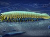 Ancient 518‑Million‑Year‑Old Fossil Unveils Birth of Spider Fangs and Scorpion Pincers