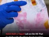 Microbial Fermentation on ISS Produces On‑Demand Nutrients for Mars Mission