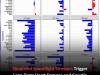 Simulated Spaceflight Stressors Trigger Long-Term Heart Damage and Genetic Mutations in Rats