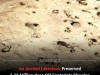 1.4 Million Year Old Footprints Reveal Giant Paranthropus Boisei Walking in All Male Groups
