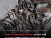 Hidden 70-Year-Old Fossil Reveals New Ice Age Frog Species at La Brea Tar Pits