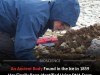 DNA Breakthrough Finally Identifies Four Sailors From The Doomed Franklin Expedition