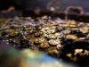 Archaeologists Just Unearthed a Well-Preserved 1,100-Year-Old Hoard of Gold Jewelry Along an Ancient Route in Saudi Arabia