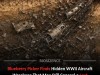 Blueberry Picker Finds Hidden WWII Plane Wreckage in Polish Forest