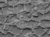 Curiosity Finds Giant Polygon Honeycomb and Mysterious Dark Rocks in Gale Crater