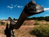 Strange Rocks Spotted Beside a Thai Pond in 2016 Turned Out to Be a 27-Tonne Dinosaur Giant from Deep Time