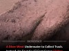 Diver Cleaning Lake Trash Makes Rare Discovery of 1,000-Year-Old Indigenous Canoe