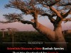 Scientists Just Discovered A Hidden Baobab Species That Was Hiding In Plain Sight