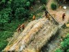 Drone Footage Just Revealed the Last People on Earth With No Contact With the Outside World for 60,000 Years