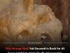 Scientists Finally Solve The Mystery Of A Strange Skull Hidden In A Cave For 65 Years