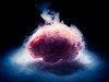 Scientists Revive Mouse Brains Frozen to -196°C, Hinting at Possible Human Applications