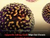 New Epigenetic Therapy Could Permanently Switch Off Chronic Hepatitis B