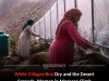 From Fog to Faucet: How Moroccan Women Harvest Air for Drinking Water