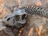 Forget the Roars: This Exceptional Fossil Reveals Dinosaurs Communicated More Like Birds Than Movie Monsters