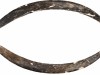 40,000-Year-Old Mammoth Ivory Boomerang Pushes Back Ice Age Weapon Timeline