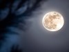 Watch The Buck Moon Rise On July 29 With Tips For Seeing And Photographing Golden Full Moon