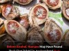 Ancient Tooth Damage Reveals Humans Used Psychoactive Betel Nuts 25,000 Years Ago