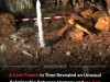 Perfectly Preserved Ice Age Cave Reveals How Ancient Humans Used Cave Lion Pelts