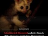 Scientists Unearth New Marsupial Order From 35‑Million‑Year‑Old Australian Fossils