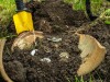 Thetford Treasure Re-Dated: 5th-Century Pagan Hoard Reveals Gold Silver Secrets