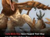 How Hopping Might Have Sparked the First Flights of Archaeopteryx