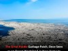 Coastal Creatures Are Colonizing and Reproducing in the Great Pacific Garbage Patch