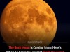 When Can You See the July 2026 Buck Moon and Its Surprising History