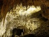 Million-Year-Old New Zealand Cave Uncovers Lost Bird Community and Kākāpō Ancestor