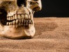 Ancient Teeth Reveal Plague Killing Humans 5,500 Years Ago in Siberian Communities