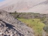 Ancient Freeze-Dried Potatoes Unearthed, Proof of Inca’s Empire-Wide Food Supply