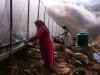 While Villages Run Dry and the Desert Advances, Women in Morocco Climb the Mountains To Catch Fog and Turn It Into Drinking Water