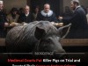 Inside the 1457 Court That Tried a Sow to Death: How Medieval Justice Handled Animals