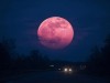 June 29 Strawberry Moon: Spot The Year’s Final Micro Moon Low On The Horizon