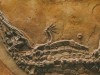 Scientists Discover Fossil of a 15-Foot Crocodile That Likely Hunted Early Humans More Than 3 Million Years Ago