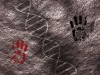 Tiny DNA switches that predate Neanderthals may hold the key to human language