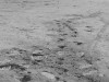 Could Moon Dust Hide Ancient Alien Tech? New Study Proposes Cosmic Debris Trail
