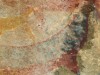 San Rock Painting Could Depict Extinct Dicynodont, Linking Fossils to Ancient Rituals