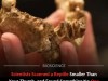 Tiny 9‑mm Fossil Jaw Reveals Unexpected Nerve Pattern and Sheds Light on Reptile Evolution