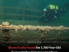 Divers Reveal 1,700-Year-Old Roman Bridge Foundations Beneath Swiss River