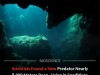 Tiny Deep‑Sea Predator Found at 8,000 Metres Thriving in Near‑Impossible Pressure