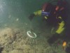 400 Moroccan Gold Coins Unearthed Off England Reveal 17th Century Trade Secrets