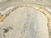 World’s Largest 150‑Metre Dinosaur Footprint Trail Unearthed in Active Oxfordshire Quarry