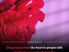 Experimental Drug Setanaxib Shows Promise in Safeguarding Hearts of Duchenne Patients