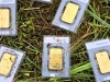 A Town Worker Accidentally Found Gold Worth 40,000 Euros While Mowing the Lawn